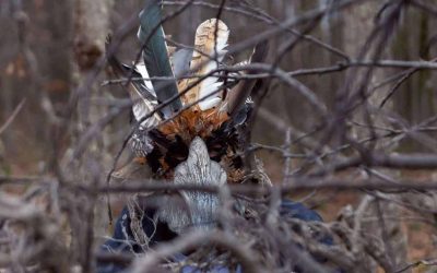 Netflix’s The Crystal Cuckoo Ending Explained: All the Twisted Truths Revealed