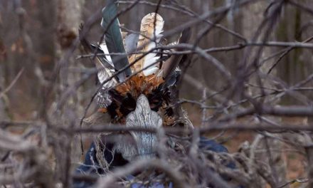 Netflix’s The Crystal Cuckoo Ending Explained: All the Twisted Truths Revealed