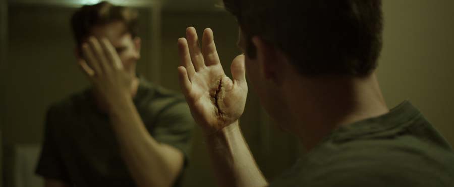 The Arbors – Horror Movie Review The Arbors – Horror Movie Review