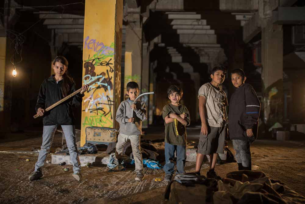 Tigers Are Not Afraid